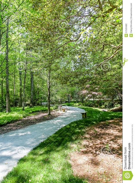 Walking Path Winding Through Forest Stock Photo Image Of