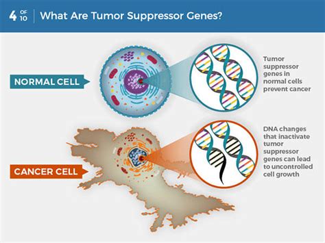 What Is Cancer Nci