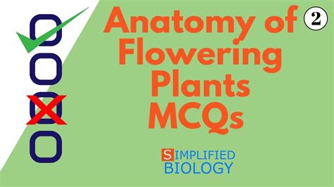 Anatomy Of Flowering Plants Mcqs 2 For Neet Aiims Aipmt Jipmer