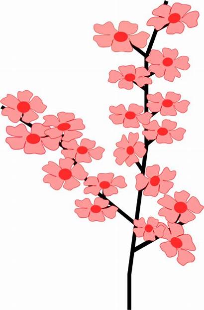 Blossom Cherry Clipart Tree Clip Sakura Graphic