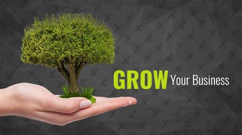 Working With Experts To Easily Start And Grow Your Business