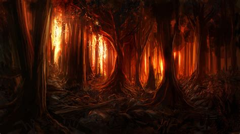Burning Woods Hd Wallpaper Background Image 2560x1440 Id655596