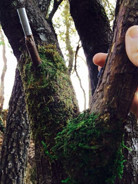 Awesome hide geocache Geocaching, Hide, Awesome