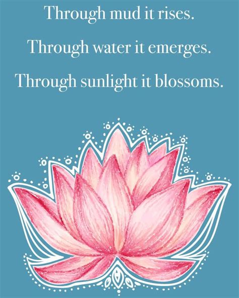 We did not find results for: Pin by Michelle on Positive Blessings | Lotus flower quote, Flower quotes, Lotus flower art