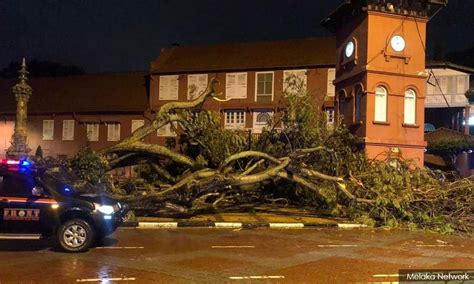 Sekiranya ingin membuat semakan maklumat akaun cukai taksiran. Melaka cadang wujud jawatan Arboris pulihara pokok warisan