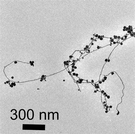 Stanford Scientists Create Gold Nanoparticles In Water