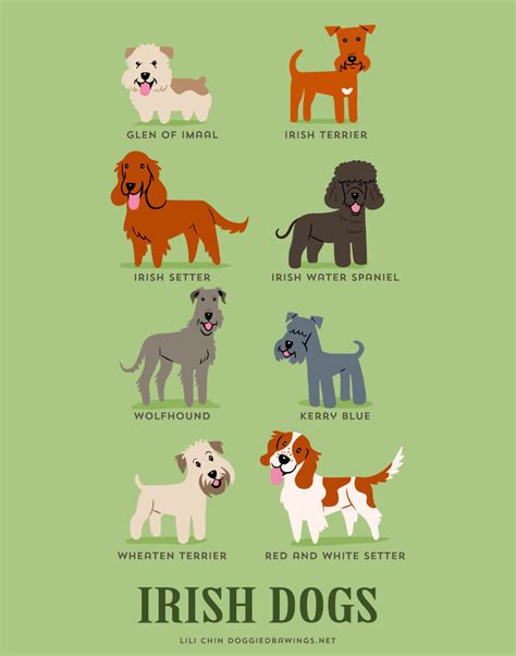 Dogs Of The World Cute Posters Show The Origins Of 200 Dog Breeds
