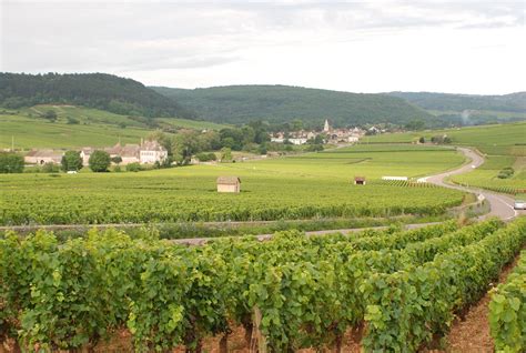 Vineyards Outside Of Beaune In Burgundy France Beaune Wine Theme