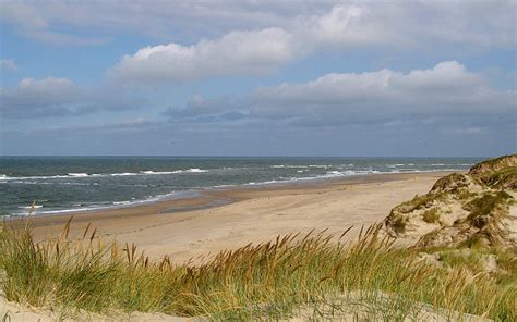 Verre vakantie en reizen in europa met kinderen. Het strand: kennis en weetjes | Ecomare Texel