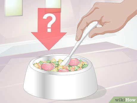 See full list on animalplanet.com How to Put Your Cat on a Limited Ingredient Diet: 12 Steps