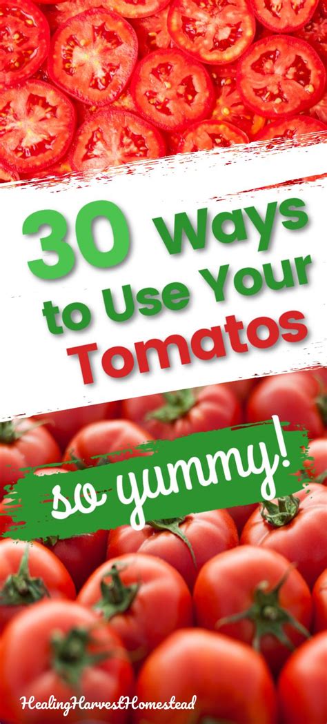 30 Easy Recipes And Tips For Using Your Tomato Harvest This Summer — All