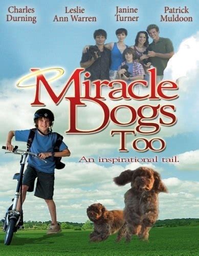 Miracle Dogs Too 2006 Starring Janine Turner On Dvd Dvd Lady