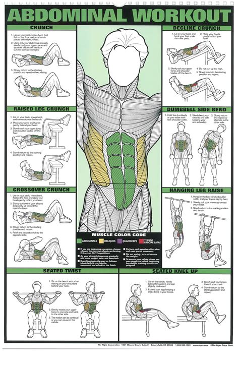 The Absolute Beginner S Guide To Exercise Workout Posters