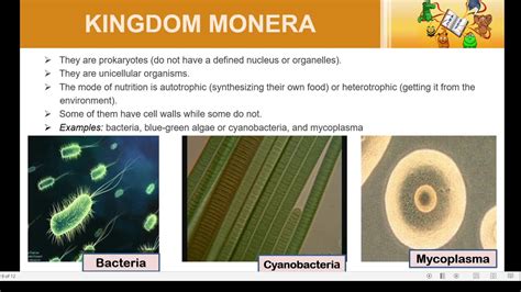 Class9th CBSE Biology Diversity Of Living Organisms Intro Slide