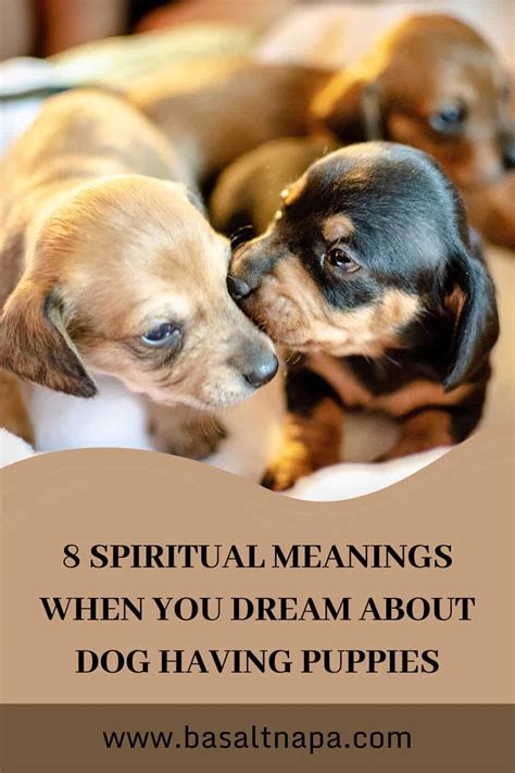 What Does A Dog Symbolize In A Dream