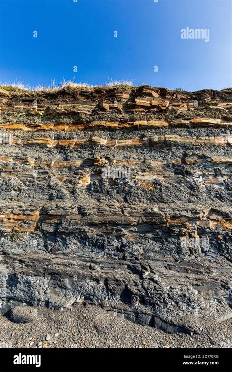 The Unstable Fossil Rich Mudstone And Shale Layers In The Cliffs At