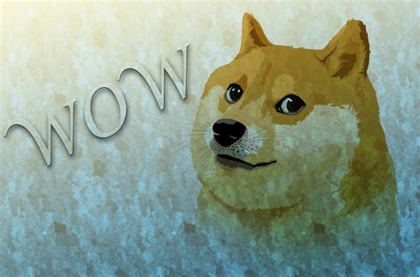 Funny Doge Hd Wallpaper By Doge