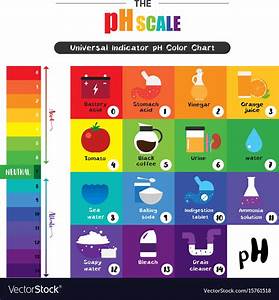 Ph Scale Universal Indicator Color Chart Vector Image