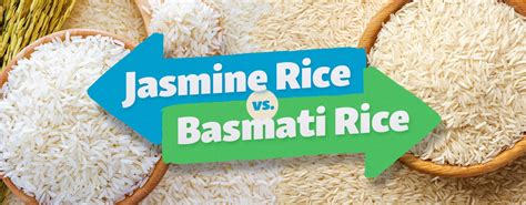 Jasmine Rice Vs Basmati Rice Differences Uses And Faq