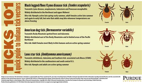 Bit By A Tick Next Steps And Species To Know Purdue University News