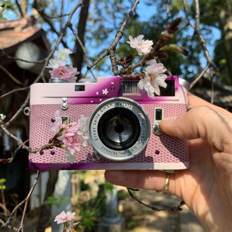 Film Friday This Pink Hand Painted Leica M4 Celebrates Japans