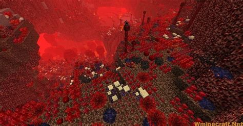 Better Nether Mod 11651152 And 1122 Never Seen It Before