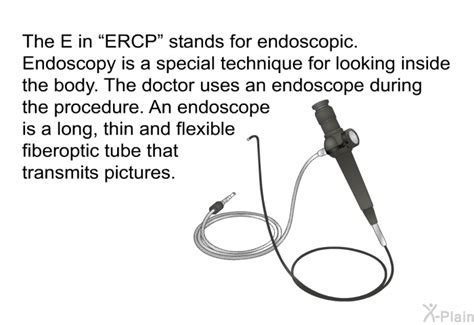 Endoscopic Retrograde Cholangiopancreatography Ercp