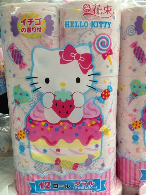 This is the perfect craft for any hello kitty lover! Hello Kitty Dollhouse💕 | Hello kitty bathroom, Hello kitty ...
