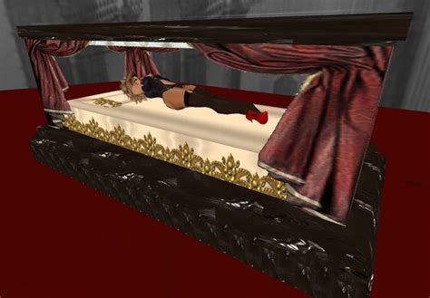 Vampire Coffin Coffin Vampire