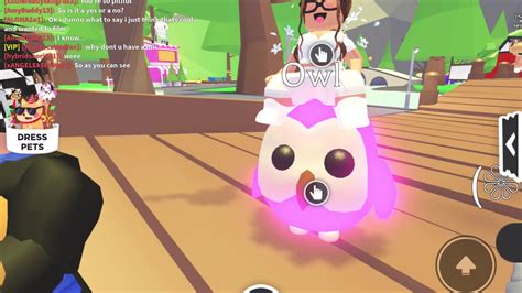 It is available as separate game on rooblox platform having different game modes on pc, android, and. Owl | Adopt Me! Wiki | Fandom
