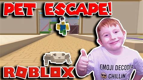 The Great Escape Roblox Pet Escape Youtube