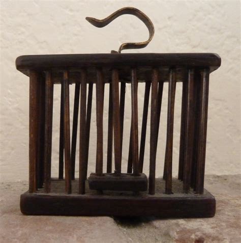 Check spelling or type a new query. Observations: Cricket Cage and Bug Boxes
