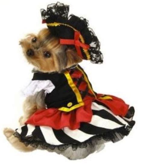 Unique Dog Halloween Costumes Hubpages