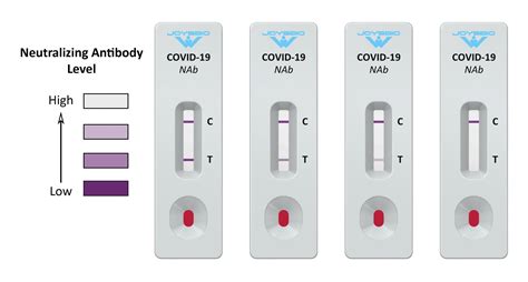 Type 1 And Type 2 Errors Covid19 Antibody Testing