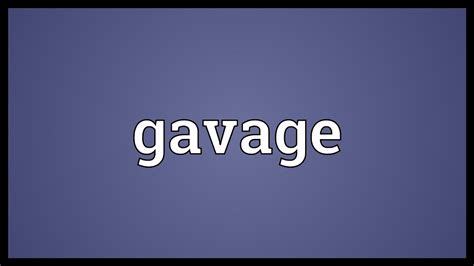 Gavage Meaning Youtube