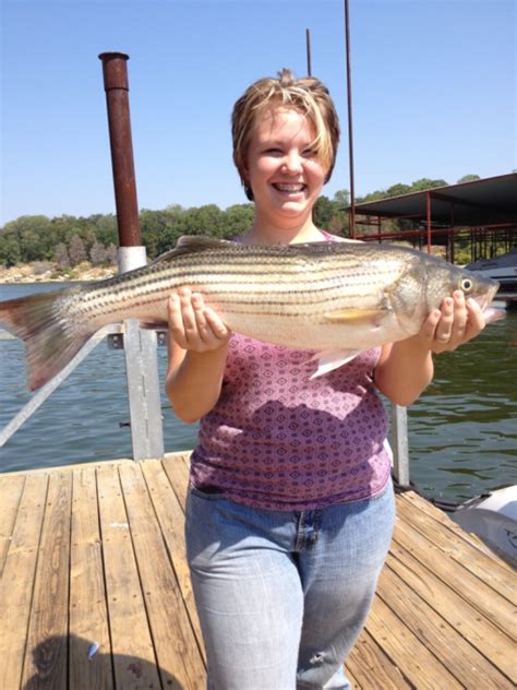 Lake texoma history the history of lake texoma is very cool! Reel Easy Striper Guide Service with Troy Harris - Lake Texoma