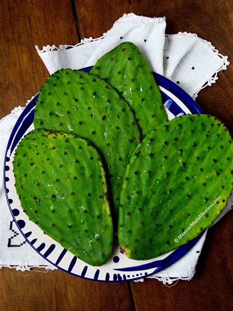 And see our promotions on facebook, instagram and twitter. Have you ever eaten cactus | Weird food, Mexican food ...