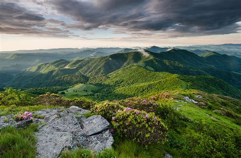 Roan Highlands Southern Appalachian Trail Spring Scenic Photograph By