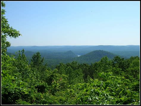 Check spelling or type a new query. Songbird Cabin: Morrow Mountain State Park--Uwharrie Mountains