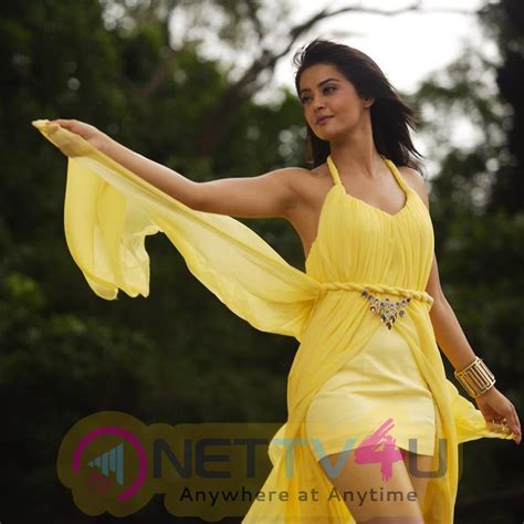 Surveen Chawla Sexy And Hot Images 199987 Galleries And Hd Images