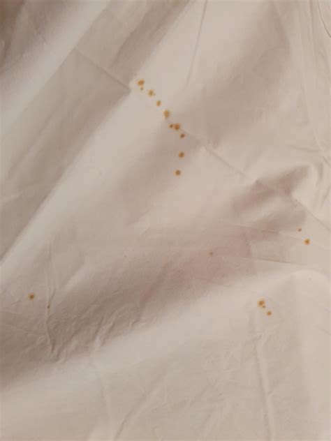 Found These Brown Spots On My Bedsheets Where It Is Folded In Under The
