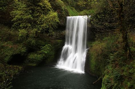 The 12 Best Rainy Day Hikes Around Oregon