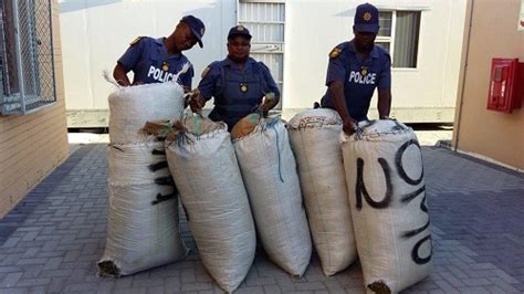 Cops Make Large Drug Hauls Two Arrests In Cape Town The Citizen