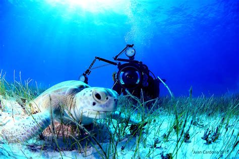 Sdi Underwater Photographer Diver International Training Sdi Tdi