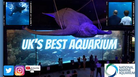 National Marine Aquarium Plymouth The Uks Largest Aquarium Youtube