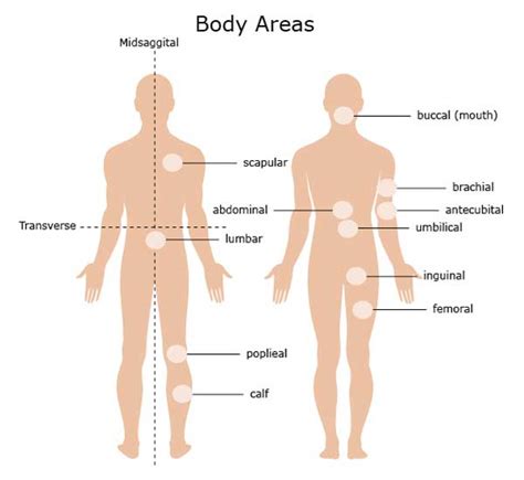 Areas of the lower limb. Body Region - Homeopathy For All