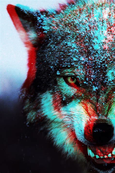 Trippy Wolf Cosmic Wolf Hd Phone Wallpaper Pxfuel