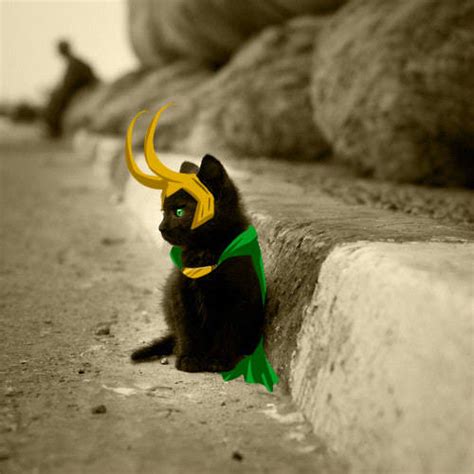 Catloki On Tumblr