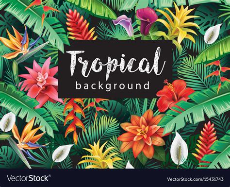 846 Background Flower Tropical Pics Myweb
