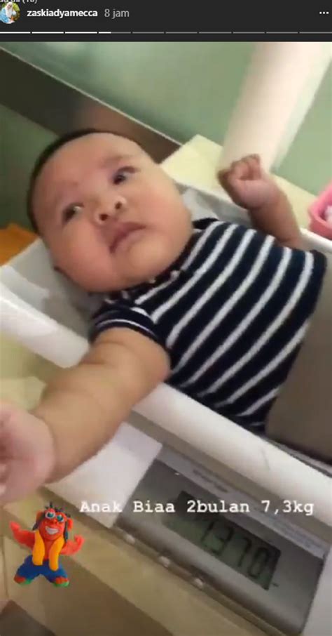 Berat badan bayi laki laki dan perempuan itu beda lho tabel berat badan ideal bayi sesuai dengan umur. Baru 2 Bulan Bobot Anak Zaskia Mecca Sudah 7,3 Kg, Ini ...